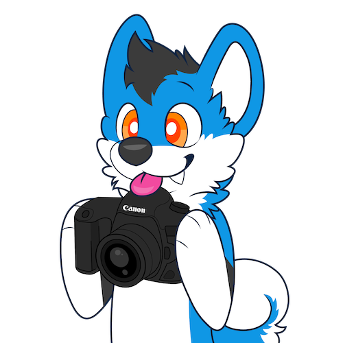 A blue dog holding a camera